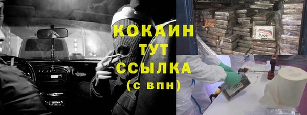 эйфоретик Арсеньев