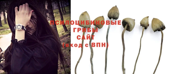 эйфоретик Арсеньев
