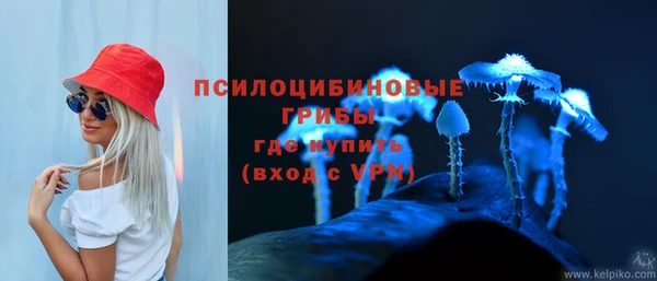 соль ск Аркадак