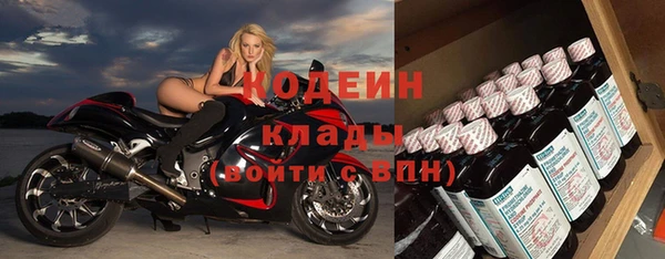 эйфоретик Арсеньев