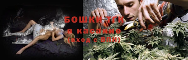 эйфоретик Арсеньев
